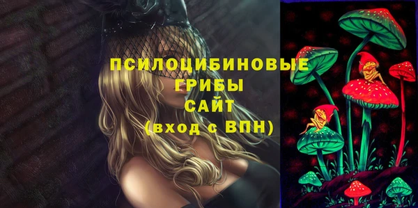 прущая мука Няндома