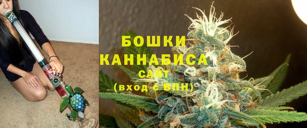 прущая мука Няндома